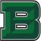 Badin